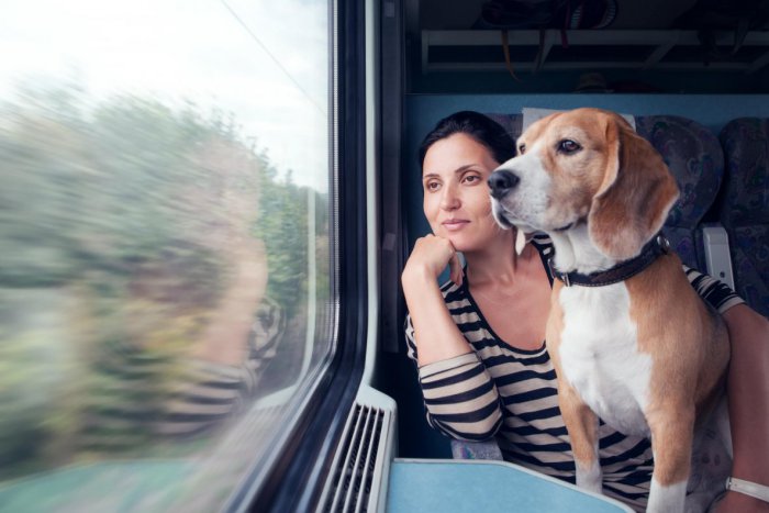 Ilustračný obrázok k článku Za lístok pre psa v IC vlaku zaplatíte po novom viac ako za dieťa